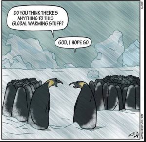 Penguin_GW