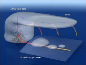 anvil_convection