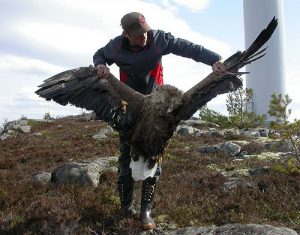 eagle-500-espen-lie-dahl