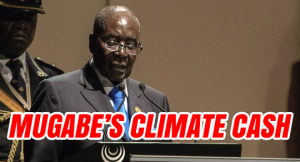 mugabe