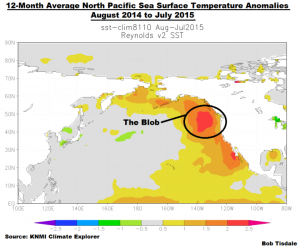 the-blob-sst